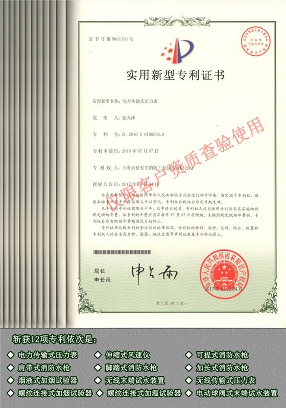 12項專利技術(shù)證書